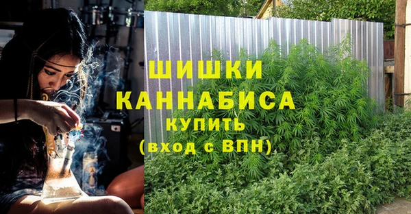 спайс Грязовец