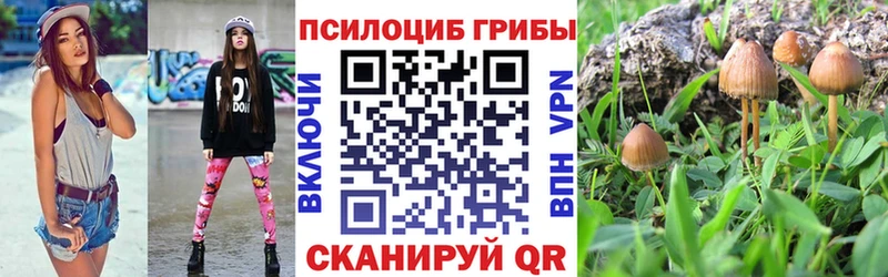 Галлюциногенные грибы Magic Shrooms  Кологрив 